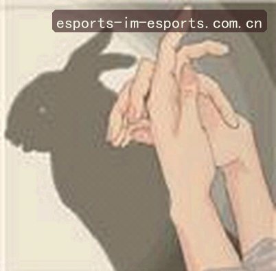 张婷